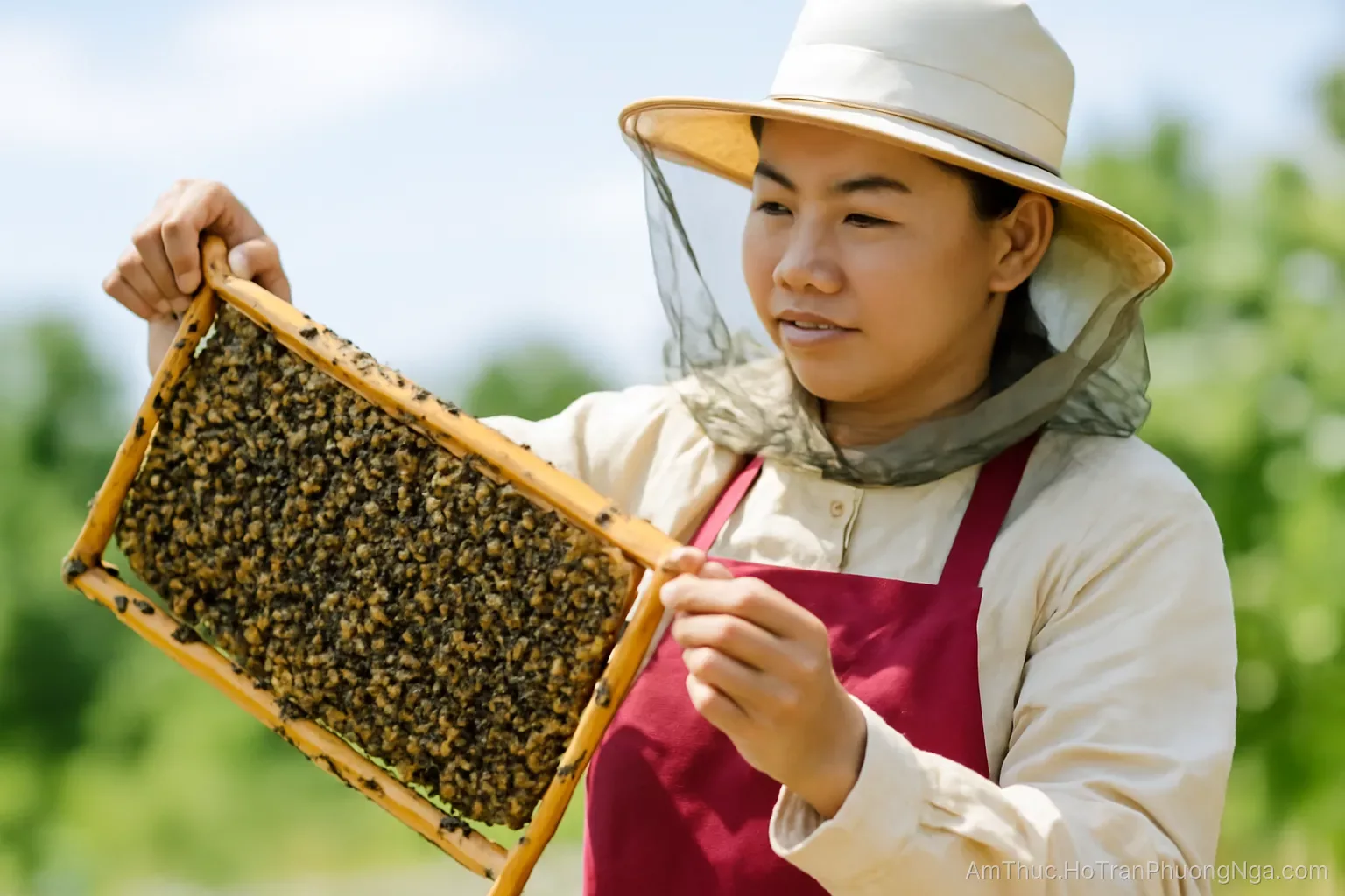 Chọn giống ong: quyết định kỹ thuật quyết định cả năm mà hộ nhỏ ít được tư vấn